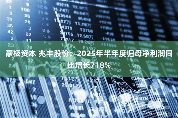 豪极资本 兆丰股份：2025年半年度归母净利润同比增长718%