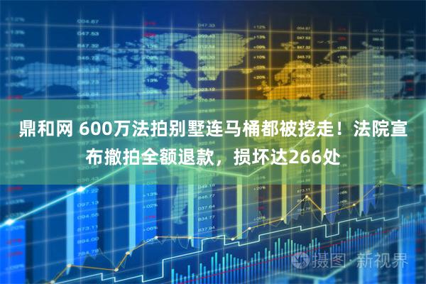 鼎和网 600万法拍别墅连马桶都被挖走！法院宣布撤拍全额退款，损坏达266处