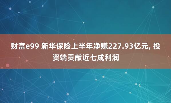 财富e99 新华保险上半年净赚227.93亿元, 投资端贡献近七成利润